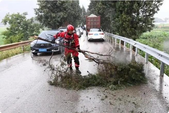 麒麟?yún)^(qū)遭暴雨突襲|部分道路積水嚴(yán)重，消防緊急排澇解憂